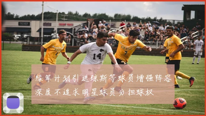 绿军计划引进琼斯等球员增强阵容深度不追求明星球员分担球权